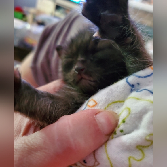 Bundle & Save.. - Picture 15 of 15